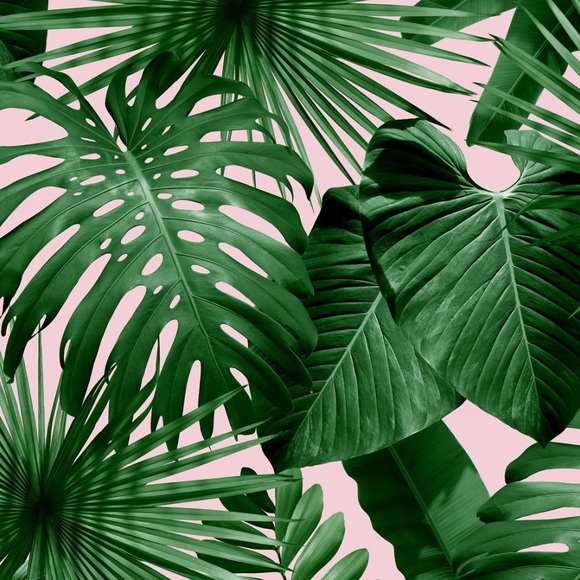 Meet your Posher, Ellene - Picture 1 of 1